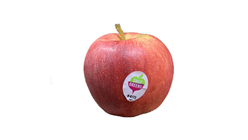Äpple Royal Gala 1st