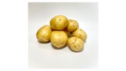 Potatis Fast 1kg