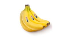 Ja! Natürlich Bananen