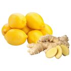 Lemons in Net + Ginger