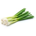 Cibule Lahůdk.Svazek | 1.00 kusů