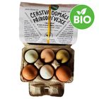 CocoKarl Organic Fresh Farm Eggs | 6 pcs



