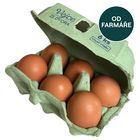 Bystřice Free Range Eggs S+M+L Mix | 6 pieces