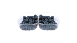 Blueberries 2 pcs.