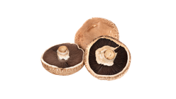 Portobello Mushroom 280g