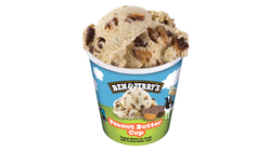 Ben & Jerry's Peanut Butter Cup | 465ml