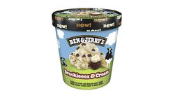 Ben & Jerry'S Glass Brookieees Cream 465ml