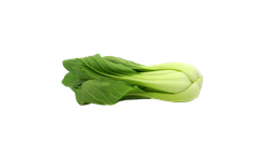 Salad Pak Choi Approx 200g
