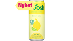 Froosh Energidrikke Sitron & Lime | 0.33l