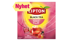 Lipton Forest Fruit Tea | 160g