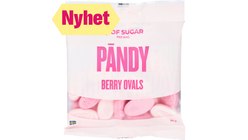 Pändy Berry Ovals | 50g