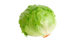 Isbergsallad Ca. 500g