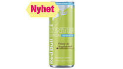 Red Bull Winter Edition | 250ml
