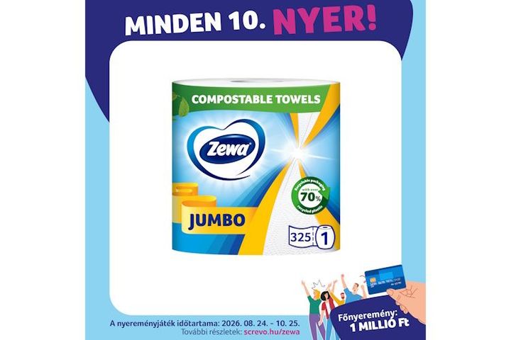Zewa Jumbo Household Towels 2 Ply 1 pcs