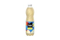 Cappy Ice Fruit Non-Carbonated Apple-Pear Drink with Elderflower Flavour 1,5 l
