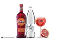 Martini Fiero Tonik
