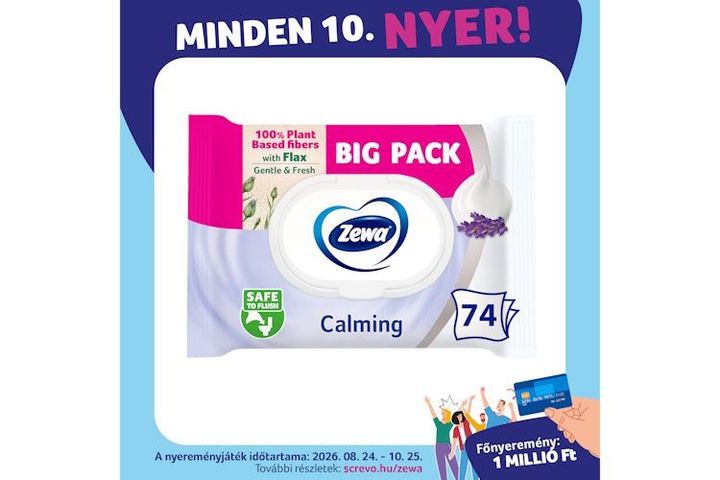 Zewa Calming Wet Toilet Paper 74 pcs