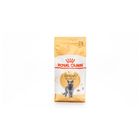 Royal Canin British Shorthair Adult 2kg-Brit rövidszőrű felnőtt macska száraz táp