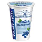 Hollandia Borůvkový selský jogurt | 200 g
