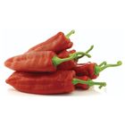 Paprika kapie červená volná