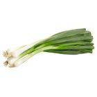 Lahůdková cibule | 1 svazek