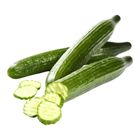 Okurka hadovka | 1 ks