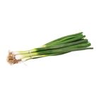 Cibule lahůdková | 1 ks