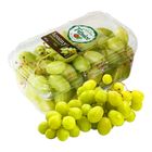 Albert Hrozny bílé bezsemenné | 500 g