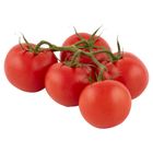 Tesco Bush Tomatoes