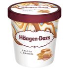 Häagen-Dazs Zmrzlina se slaným karamelem | 460 ml