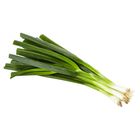 Cibule svazková | 1 svazek