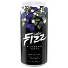 FIZZ Blueberry cider tray | 500 ml