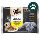 Sheba Delicacy drůbeží kapsičky pro kočky | 4 x 85 g
