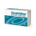 CICATRIDINA poševní čípky 10x2g