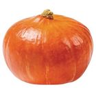 Tykev (dýně) Hokkaido 1.3kg