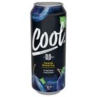 Cool Tmavá švestka nealkoholické pivo | 500 ml