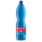 Magnesia Neperlivá přírodní minerální voda | 1.5 l