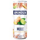 Amundsen Mule 6% tin | 250 ml