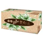 Linteo Kapesníčky dvouvrstvé | 100 x 1 kus