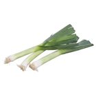 Pórek | 1 kus