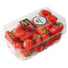 Albert jahody | 500 g