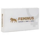 FEMINUS 60 tablet