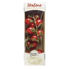 Čerstvě Utrženo Strabena keříková cherry rajčata | 250 g