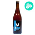 Raven Sky IPA pivo | 700 ml