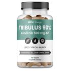 MOVit Energy TRIBULUS 90% Kotvičník 500 mg 4v1 90 kapslí