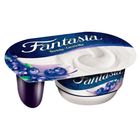 Fantasia Borůvkový jogurt | 122 g