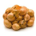 The Grower's Harvest Cibule kuchyňská žlutá | 1 kg
