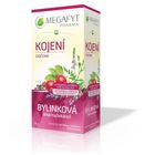 Megafyt Bylinková lékárna Kojení 20x1,5 g