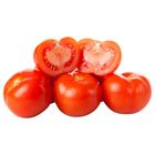 Rajče kulaté | 500 g