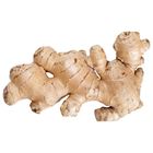 Zázvor Bio | 150 g